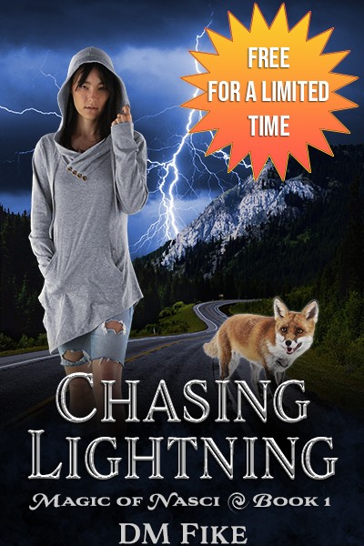 Chasing Lightning by DM Fike