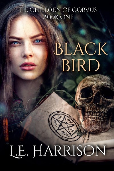 Blackbird by LE Harrison