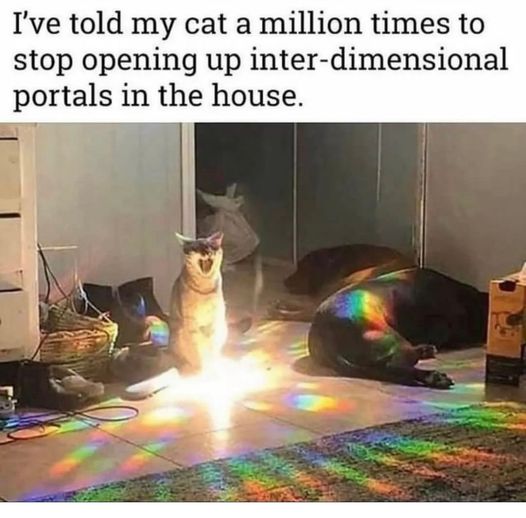 portal kitty